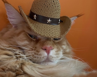 Cat Dog Stetson Cowboy Hat - Mesh with Tassels - Cool, Comfy & Cute!