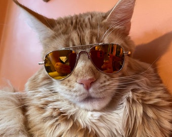 Cat Aviator Sunglasses Cute and Comfy Easy to wear!