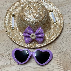 Cute Cat Dog Straw Hat Sunglasses Matching Set Stylish Trendy Cool Pets