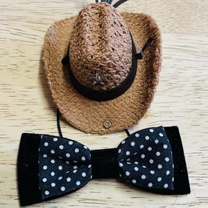 Cute Tiny Cowboy Hat for Tiny Pets with matching bow tie - hat for Guinea Pig Hat for Rat Hat for Chooks hat for lizards, ferrets, hamsters