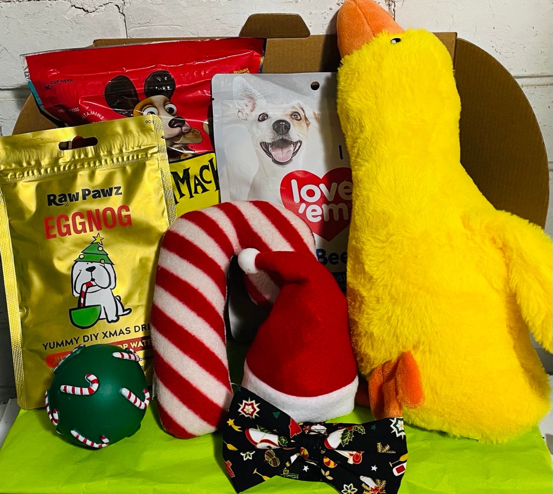 Dog Christmas Gift Box Treat Box Goodie Box Present for Large Etsy