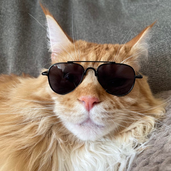 Cat Aviator Sunglasses - Cute, Cool and Comfortable