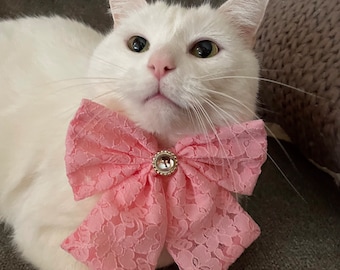 Gorgeous Cat Big Bling Bow Tie