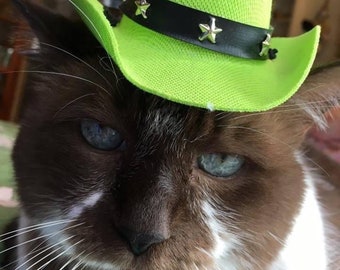 Sombrero de vaquero colorido para mascota: accesorio de disfraz brillante