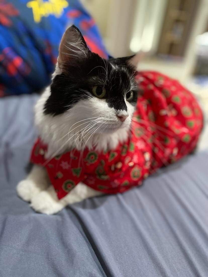 Dog Christmas Outfit Green Pet Jumpsuit Sleepwear Outfits Santa Claus