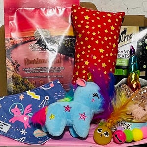 Cat Kitten Unicorn Gift Box Hamper Cat Present Gift for Cat Cat Toys Cat Treats Cat Birthday Gotcha Day Gift