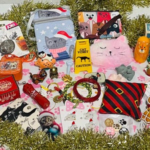 Amazing CAT LOVER ADVENT Calendar - 24 Days 24 Gift Advent Calendar For Cat Lover Cat Themed Gifts Cat Lover Christmas Surprise - 2025