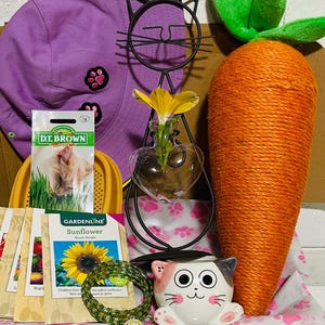Puede incluir: Una colección de artículos que incluyen un sombrero de pescador morado con parches de huellas de patas, paquetes de semillas, una decoración de pared de alambre con forma de gato, un jarrón de vidrio en forma de corazón con una flor amarilla, un objeto grande con forma de zanahoria naranja, una maceta de cerámica con temática de gato y una pulsera de cuentas.