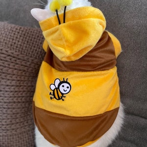 So Cute Bumble Bee Hoodie Jacket for Cats / Dogs