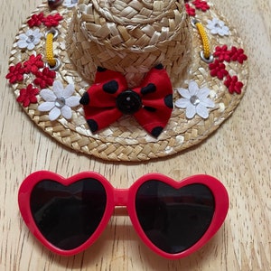 Cute Cat Dog Straw Hat Sunglasses Matching Set Stylish Trendy Cool Pets