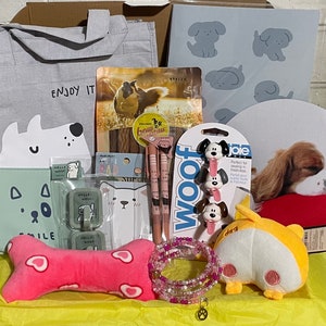DOG LOVER Gift Box Hamper Gift For Dog Lover Dog Themed Gifts Puppy Lover Gift Box  - 2025