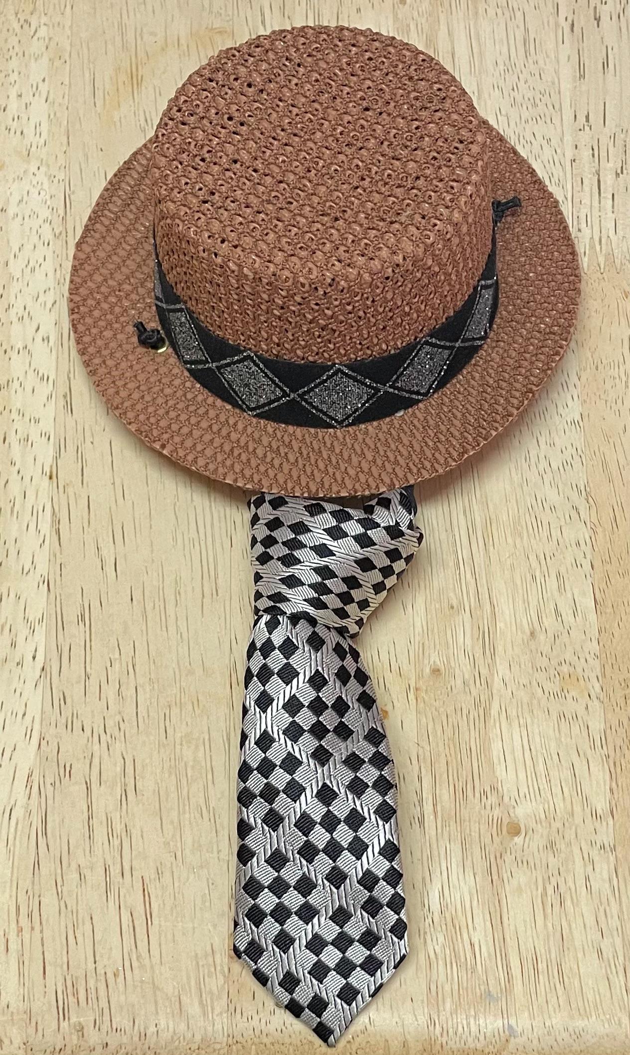 Stylish Cat Dog Boater Hat With Neck Tie Matching Set Pet