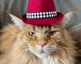 Gato Perro Sombrero Felpa Sombrero Fedora Estampado animal Lindo Cool