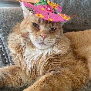 May include: A ginger tabby cat wearing a pink floral print hat. The cat is lying down on a grey sofa.