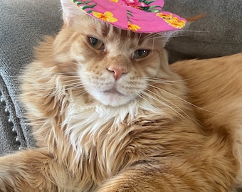 May include: A ginger tabby cat wearing a pink floral print hat. The cat is lying down on a gray couch.