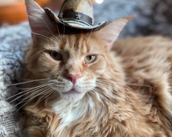 Plush Animal Print Cat / Dog Cowboy Hat - Pet Costume