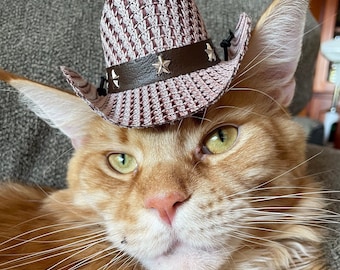 NEW!! Cat Dog Cowboy Hat Western Wear Pet Hat Cute & Comfy