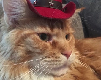 So Cute Pet Cat Dog Felt Cowboy Hat