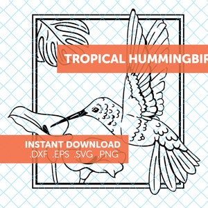 Téléchargement numérique // Hummingbird Floral Design // svg eps dxf png // Laser Cricut Instant Illustration File Tropical Art