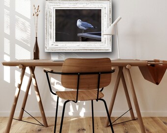 Ring Billed Gull on Rail - Hand Matted Photograph Print -Fast & Free US Shipping!