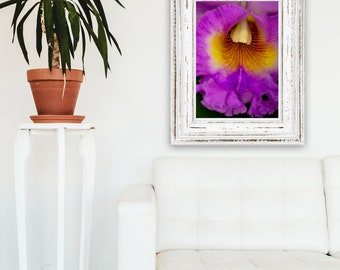 Orchid #8 - Hand Mounted/Matted Photographic Print-Fast & Free US Shipping!