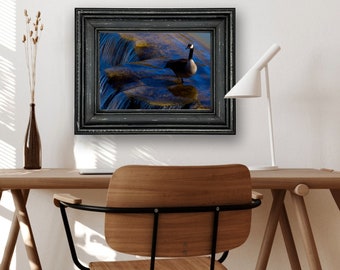 Goose at Blue Falls - Hand Matted Photograph Print -Fast & Free US Shipping!