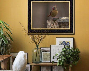 Female Cardinal - Hand Matted Photograph Print -Fast & Free US Shipping!