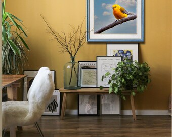 Prothonotary Warbler - Hand Matted Photograph Print -Fast & Free US Shipping!