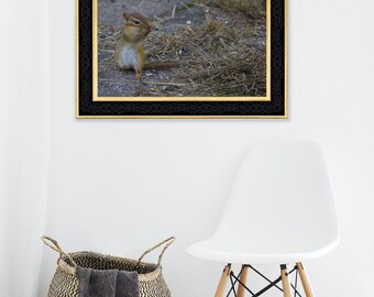 Chipmonk- Hand Matted Photograph Print -Fast & Free US Shipping!