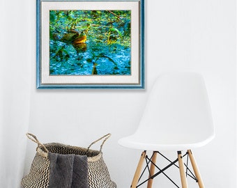 Bull Frog in Pond -Mounted and Matted Giclee Photographic Art Print