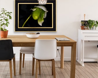Orchid #1 - Hand Mounted/Matted Photographic Print-Fast & Free US Shipping!