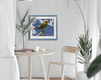 Cape May Warbler - Hand Matted Photograph Print -Fast & Free US Shipping!