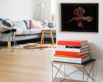Orchid #2 - Hand Mounted/Matted Photographic Print-Fast & Free US Shipping!