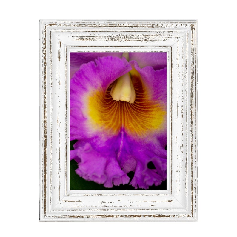 Orchid 8 Hand Mounted/matted Photographic Printfast & Free Etsy