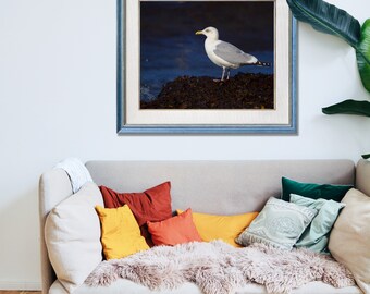 Herring Gull on Winter Lakeshore - Hand Matted Photograph Print -Fast & Free US Shipping!