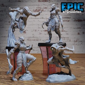 Loup-garou femelle en armure | Chasse aux bêtes | Miniatures épiques | Impressions 3D 12k | Miniatures de table | 28 mm