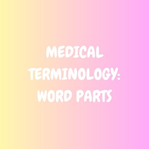 Medical Terminology Flashcards: Word Parts