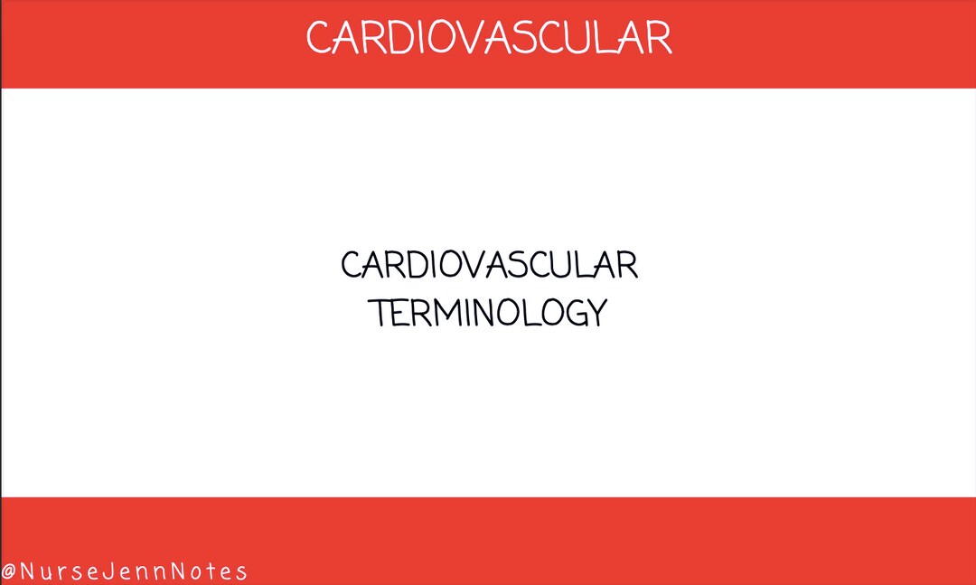 Cardiovascular Medical Terminology Flashcards Etsy