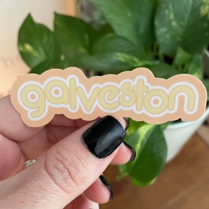 Galveston beach sticker