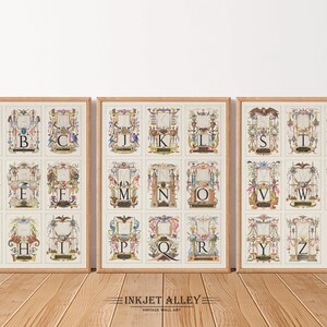 Illuminated Alphabet Letters - Set of 3 Vintage Calligraphy Prints – ABC Letters Magical Print Illustration from 1500’s ABC Wall Art Poster