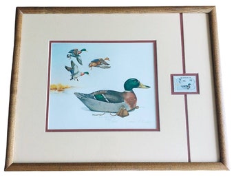 1982 Duck Conservation Stamp Framed Print 1981 James Fisher Signed 1131/1300