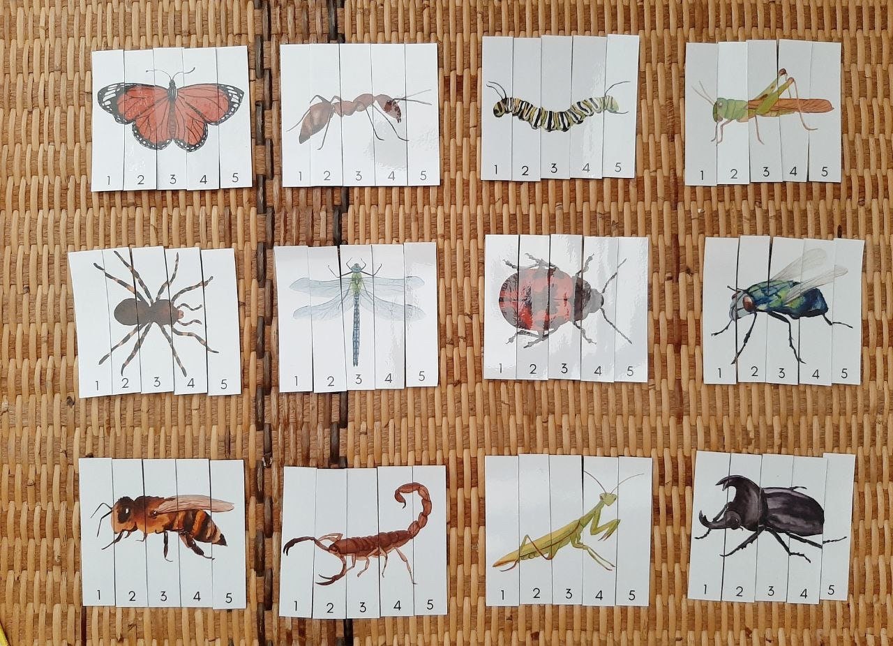 Insect Printable Puzzle Number 1-5, Preschool Animal Puzzle, Number ...