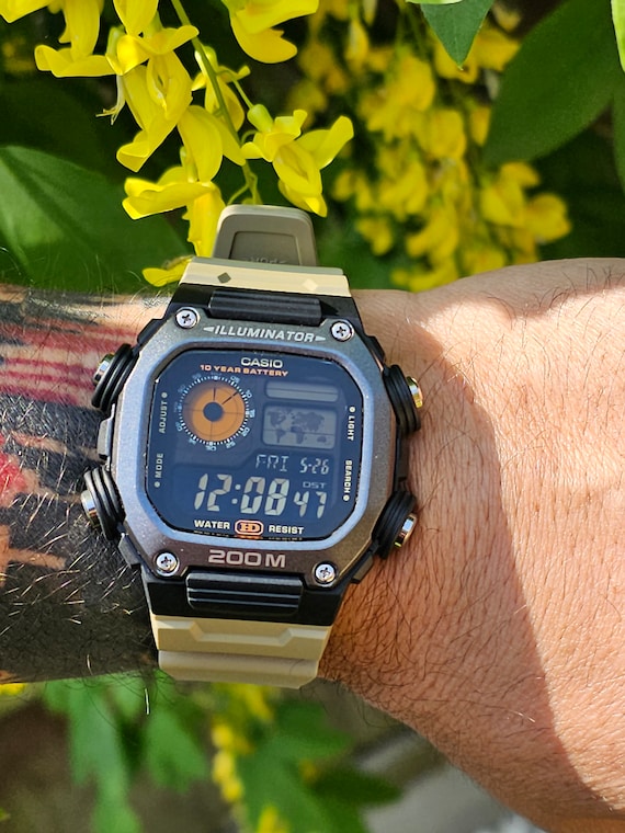 CASIO デジタル腕時計 チープカシオ　DW-291 AE-1200 Modified Watch Based on Casio AE-1200. DW-291 'desert' Case and