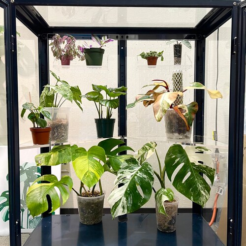 Ikea Wide Milsbo Acrylic Pegboard Skadis Shelf Kit Etsy