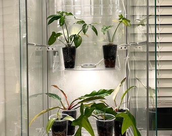 Detolf Pegboard SKADIS Accessories for IKEA Greenhouse Cabinet - Indoor greenhouse organization to display plants
