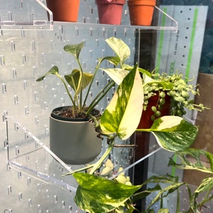 Fabrikor Tall Acrylic Pegboard SKADIS Accessories for IKEA Greenhouse Cabinet - Indoor greenhouse organization to display plants