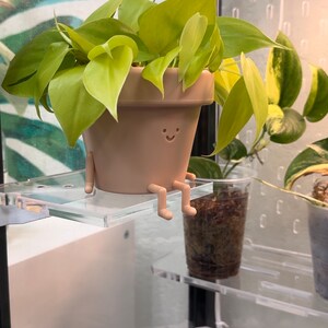 Milsbo Tall Corner Riser Customized Acrylic Shelf for IKEA Greenhouse Cabinet
