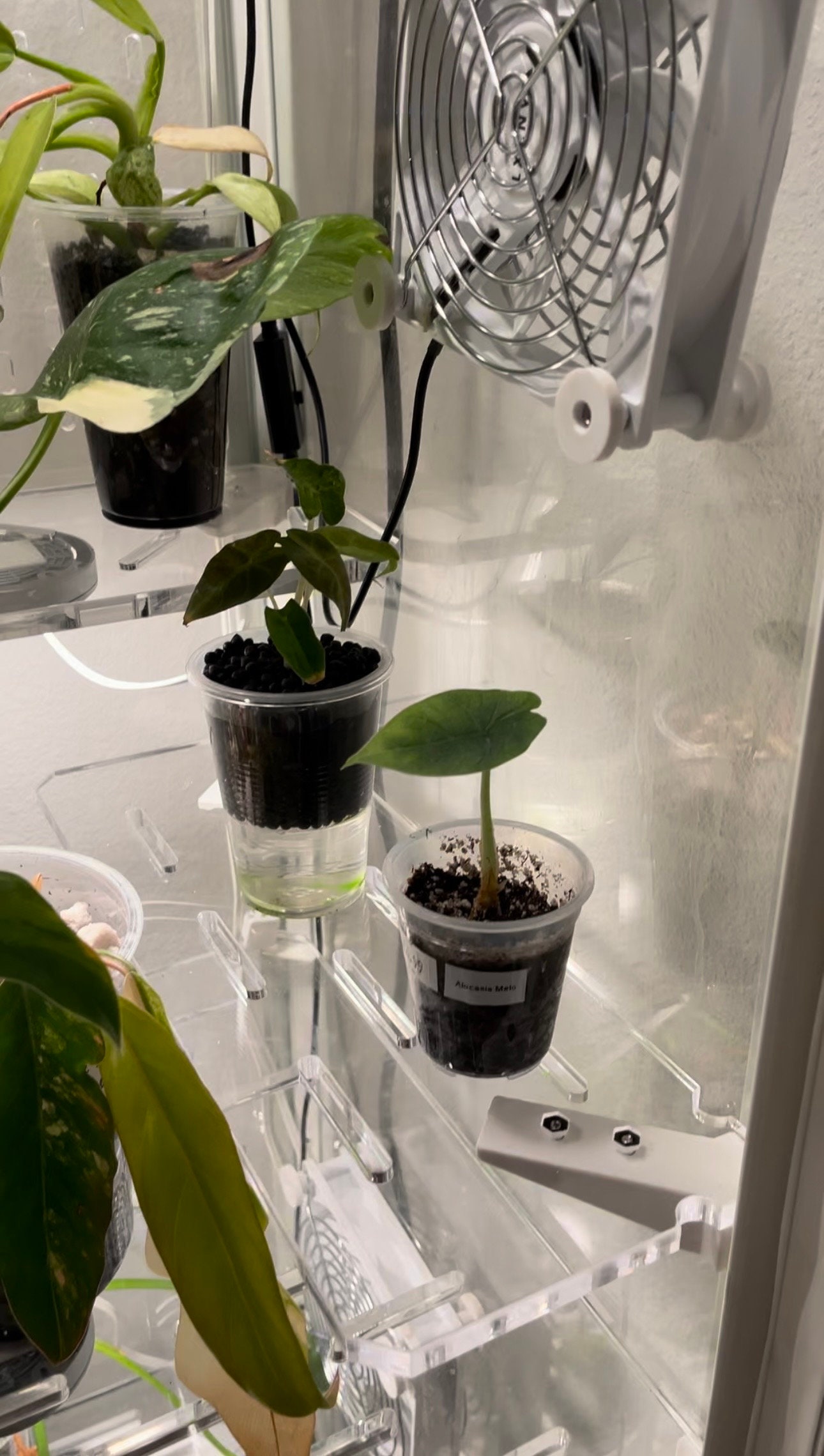 Milsbo Tall Side RISER - Ikea Acrylic Shelves #greenhouse - Etsy