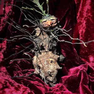 May include: A whimsical, handcrafted figurine of a creature with a human-like face, made of wood and moss. The creature is adorned with a leafy crown and has a long, twisted body covered in roots and vines. The figurine is displayed on a deep red velvet background.