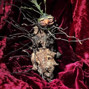 Root magic art toy plants doll creatures beasts fantasy forest ooak fairy fantastic